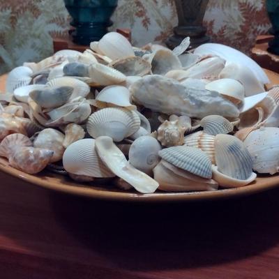 Large Pottery Bowl Filled with Seashells