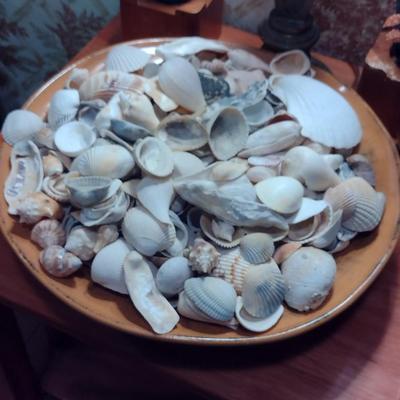 Large Pottery Bowl Filled with Seashells