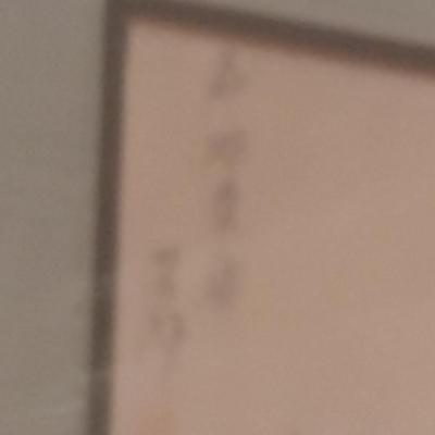 Pair of Asian Bird on Branch Framed Prints with Chop Mark