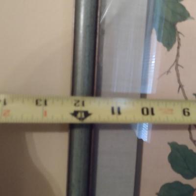 Pair of Asian Bird on Branch Framed Prints with Chop Mark