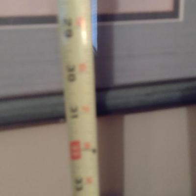 Pair of Asian Bird on Branch Framed Prints with Chop Mark