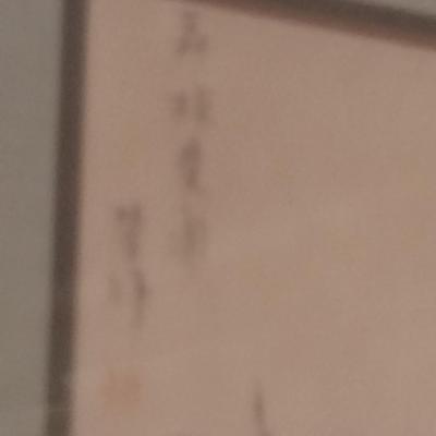 Pair of Asian Bird on Branch Framed Prints with Chop Mark