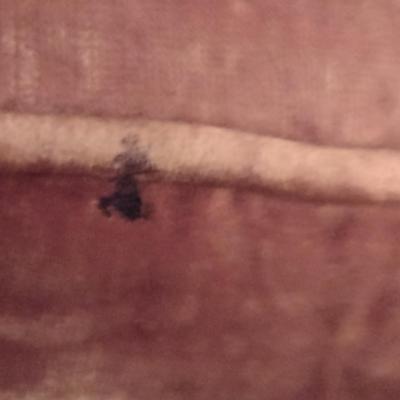 Vintage Crushed Velvet Upholstered Chair (Choice B)