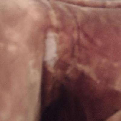 Vintage Crushed Velvet Upholstered Chair (Choice B)