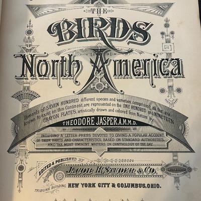 LOT 29: Studer's Popular Ornithology Birds Of North America
