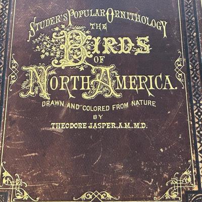 LOT 29: Studer's Popular Ornithology Birds Of North America