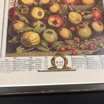 LOT 8M: Vintage Prints of 1732 Fruits of the Month Engravings by Jo. Clark - April, May & July