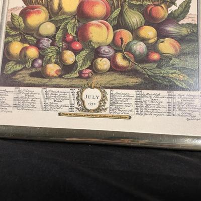 LOT 8M: Vintage Prints of 1732 Fruits of the Month Engravings by Jo. Clark - April, May & July