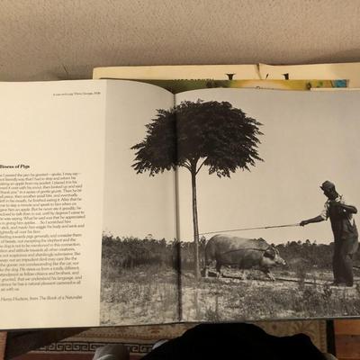 The Southern Album by Irwin Glusker and Willie Morris (FIRST EDITION)
