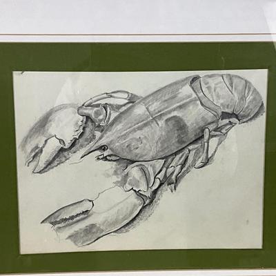 913 Lobster Sketch Framed & Matted