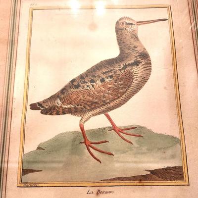Lot #138 La Becasse -18th Century Hand Colored, Copper plate Engraving of a woodcock by Martinet