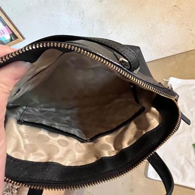 Kate Spade Purse #4