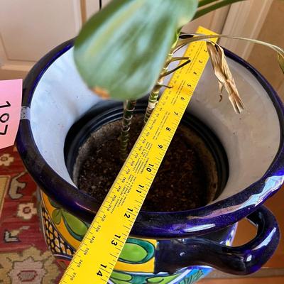Talavera deep pot w/ Plant