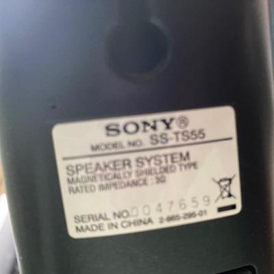 Sony Surround Sound Speakers and Monitor