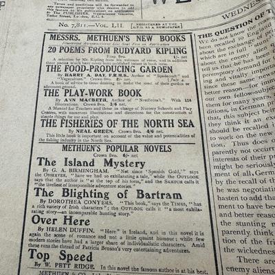 1918-1919 Newspapers