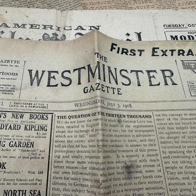 1918-1919 Newspapers