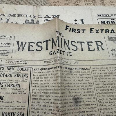 1918-1919 Newspapers
