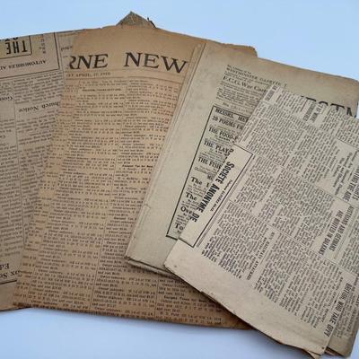 1918-1919 Newspapers