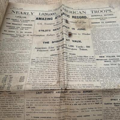 1918-1919 Newspapers