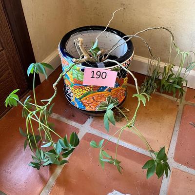 Talavera Pot
