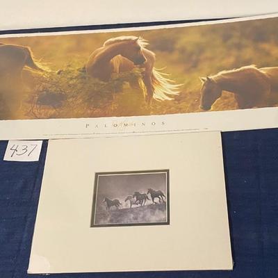Horse Poster and Picture