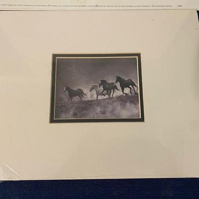 Horse Poster and Picture