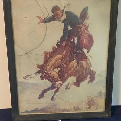 Bucking Bronco Picture