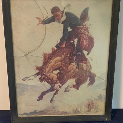 Bucking Bronco Picture