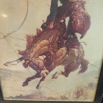 Bucking Bronco Picture