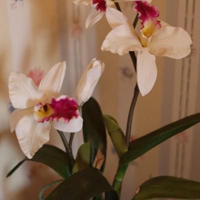 Artificial Orchid Arrangement