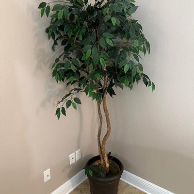 6ft Artificial Ficus Tree