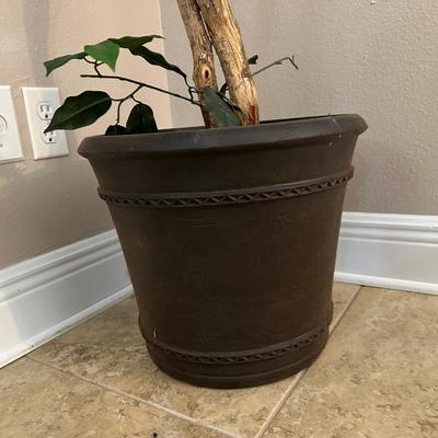 6ft Artificial Ficus Tree