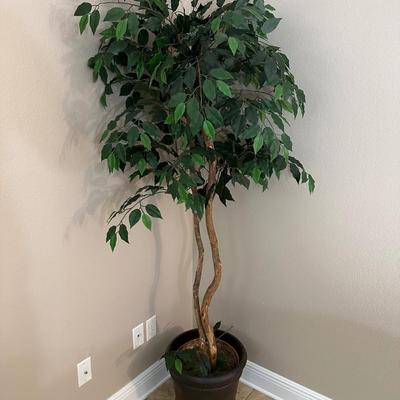 6ft Artificial Ficus Tree