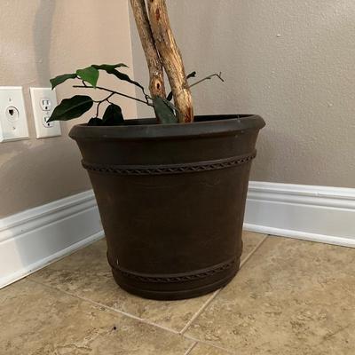 6ft Artificial Ficus Tree