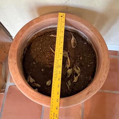 Nice Terra Cotta pot