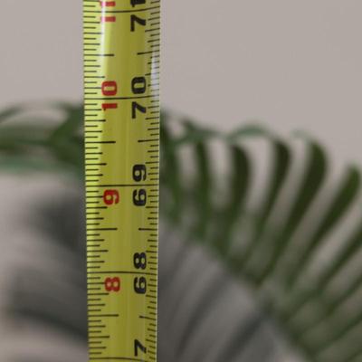 70" Artificial House Plant