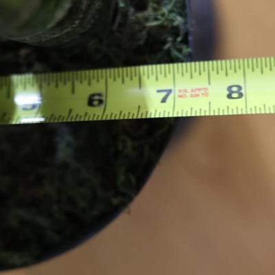 70" Artificial House Plant