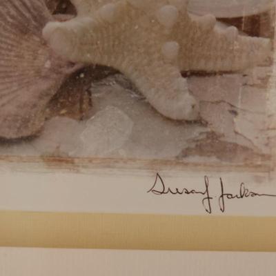 Framed Picture of Seashells