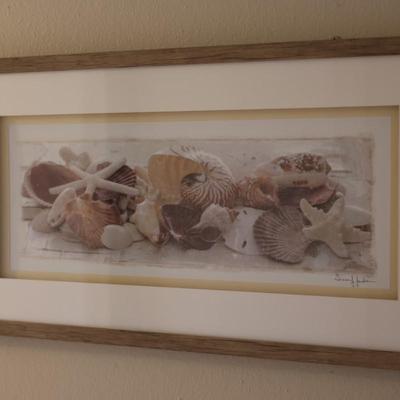 Framed Picture of Seashells