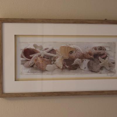 Framed Picture of Seashells