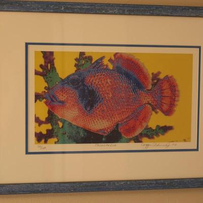 Signed & Numbered Framed Print of "Trigger Fish"