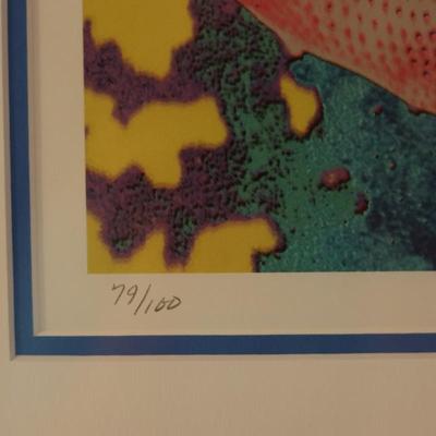 Signed & Numbered Framed Print of "Trigger Fish"
