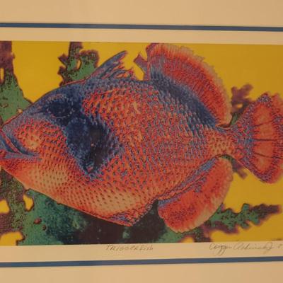 Signed & Numbered Framed Print of "Trigger Fish"