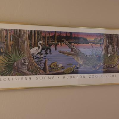 Framed Print of Louisiana Swamp Audubon Zoological