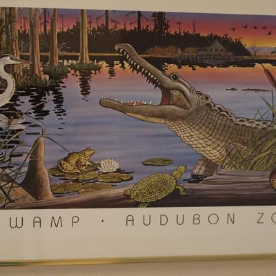 Framed Print of Louisiana Swamp Audubon Zoological