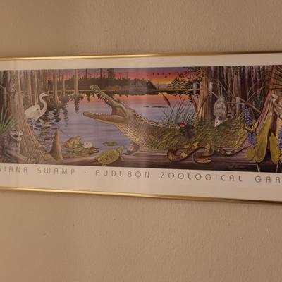 Framed Print of Louisiana Swamp Audubon Zoological