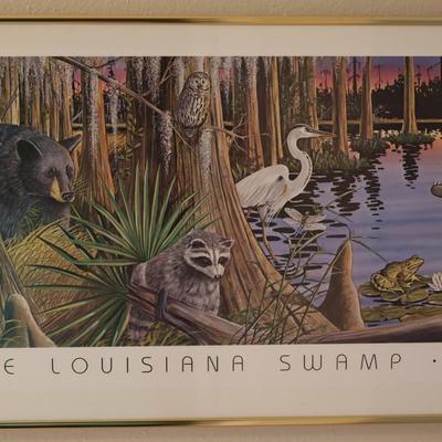 Framed Print of Louisiana Swamp Audubon Zoological