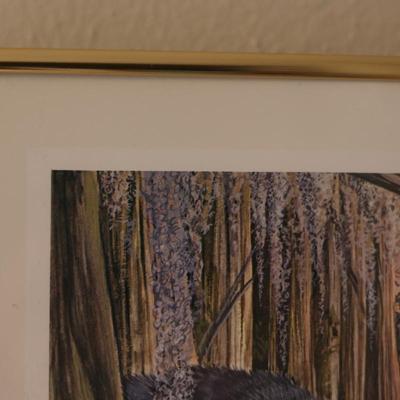Framed Print of Louisiana Swamp Audubon Zoological