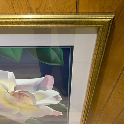Rose art framed print.