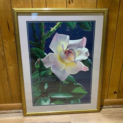 Rose art framed print.